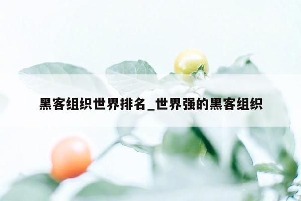 黑客组织世界排名_世界强的黑客组织