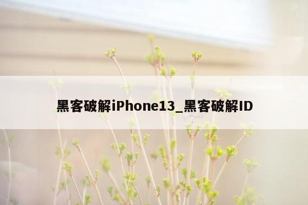 黑客破解iPhone13_黑客破解ID