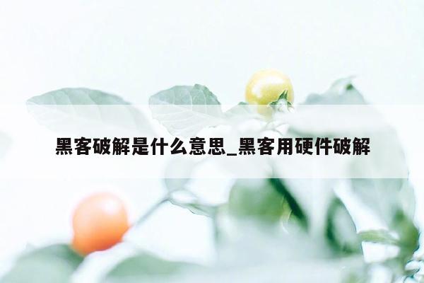 黑客破解是什么意思_黑客用硬件破解