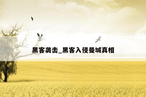 黑客袭击_黑客入侵曼城真相