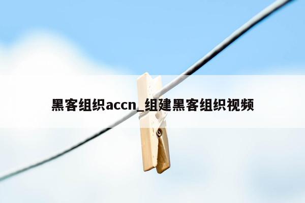 黑客组织accn_组建黑客组织视频