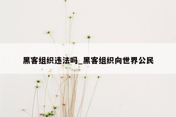 黑客组织违法吗_黑客组织向世界公民