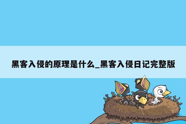 黑客入侵的原理是什么_黑客入侵日记完整版