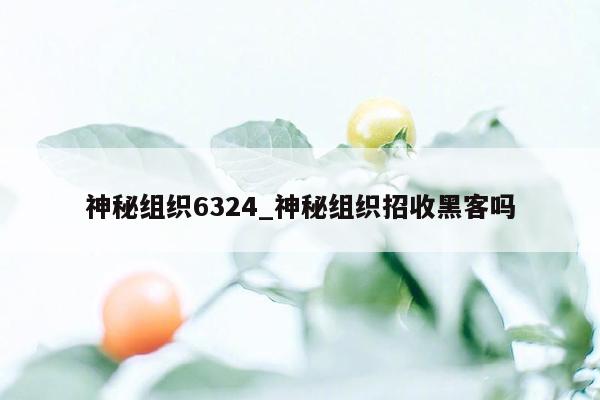 神秘组织6324_神秘组织招收黑客吗