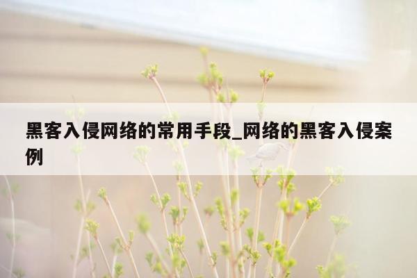 黑客入侵网络的常用手段_网络的黑客入侵案例