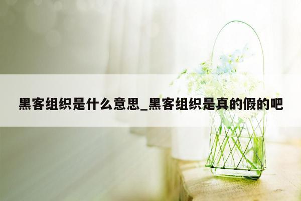 黑客组织是什么意思_黑客组织是真的假的吧