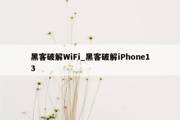 黑客破解WiFi_黑客破解iPhone13