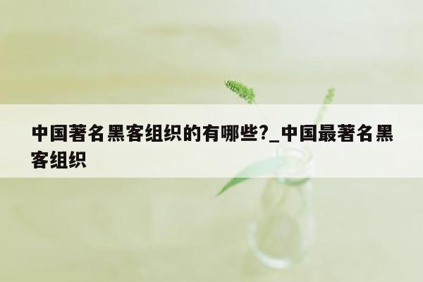 中国著名黑客组织的有哪些?_中国最著名黑客组织