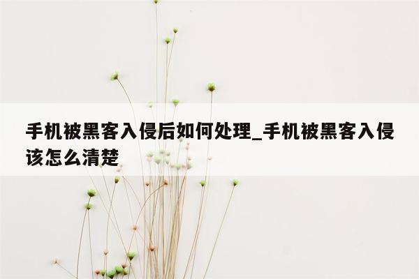 手机被黑客入侵后如何处理_手机被黑客入侵该怎么清楚