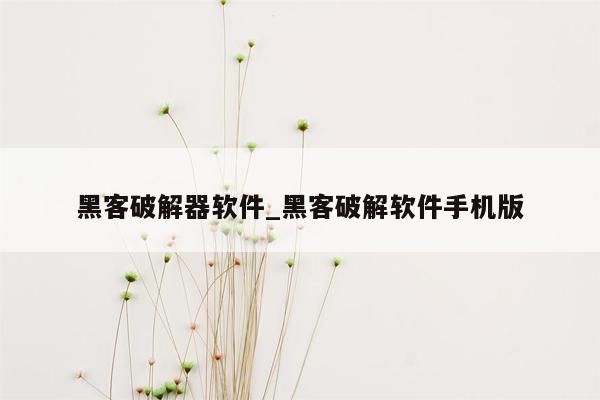 黑客破解器软件_黑客破解软件手机版