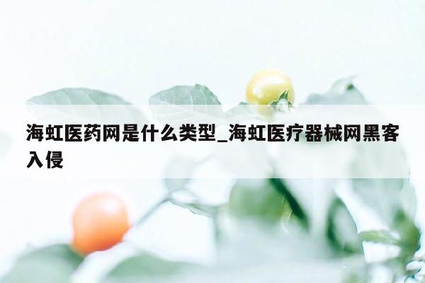 海虹医药网是什么类型_海虹医疗器械网黑客入侵