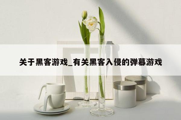 关于黑客游戏_有关黑客入侵的弹幕游戏