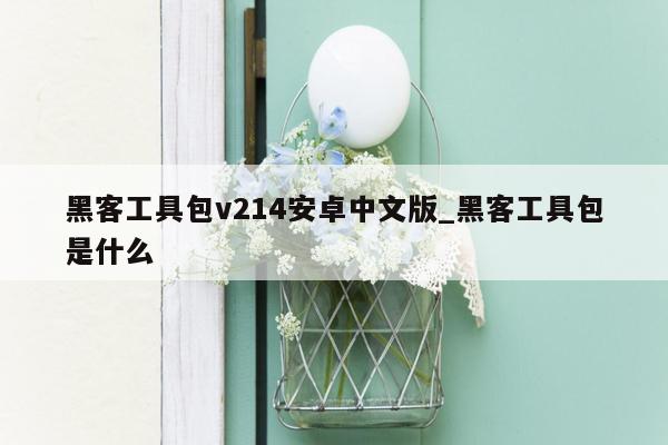 黑客工具包v214安卓中文版_黑客工具包是什么