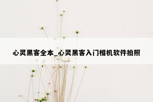 心灵黑客全本_心灵黑客入门相机软件拍照
