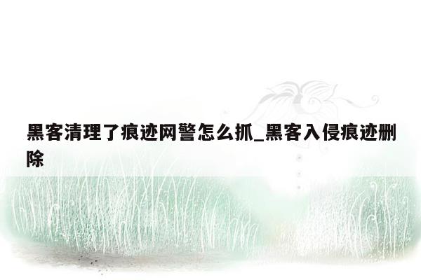 黑客清理了痕迹网警怎么抓_黑客入侵痕迹删除