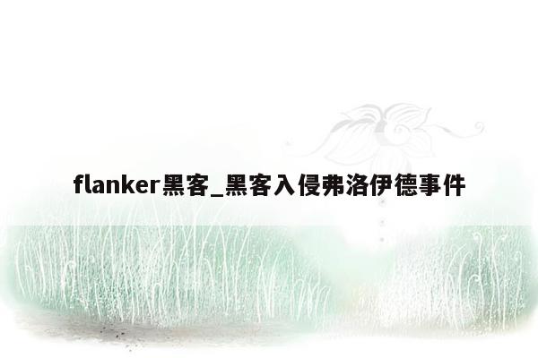 flanker黑客_黑客入侵弗洛伊德事件