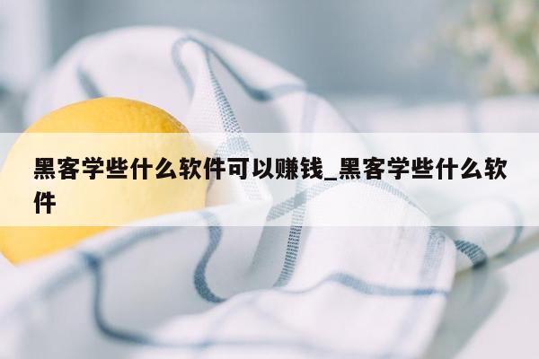 黑客学些什么软件可以赚钱_黑客学些什么软件