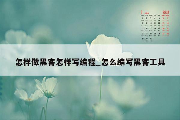怎样做黑客怎样写编程_怎么编写黑客工具