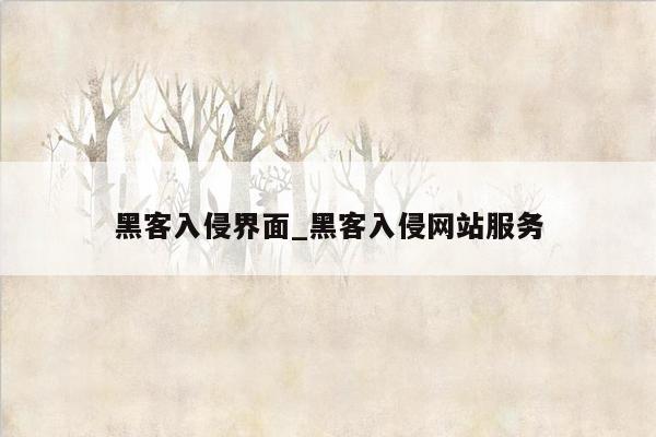 黑客入侵界面_黑客入侵网站服务