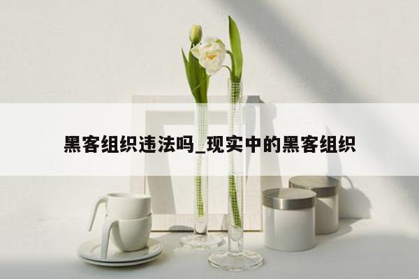 黑客组织违法吗_现实中的黑客组织