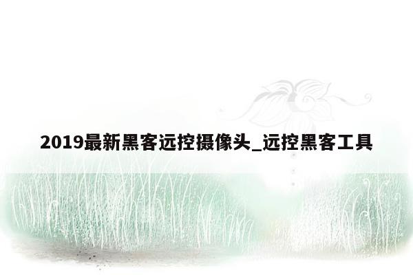 2019最新黑客远控摄像头_远控黑客工具