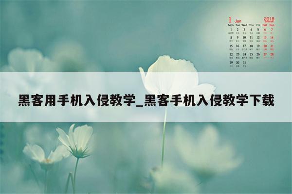 黑客用手机入侵教学_黑客手机入侵教学下载