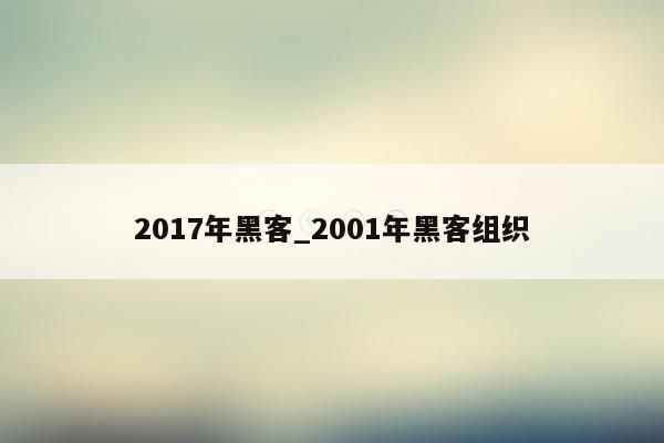 2017年黑客_2001年黑客组织