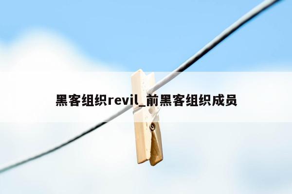 黑客组织revil_前黑客组织成员