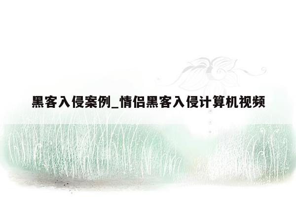 黑客入侵案例_情侣黑客入侵计算机视频