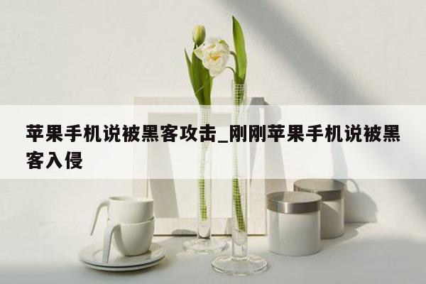 苹果手机说被黑客攻击_刚刚苹果手机说被黑客入侵