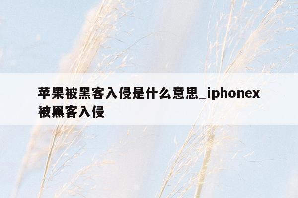 苹果被黑客入侵是什么意思_iphonex被黑客入侵