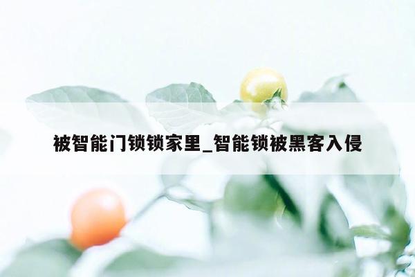 被智能门锁锁家里_智能锁被黑客入侵