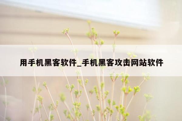 用手机黑客软件_手机黑客攻击网站软件