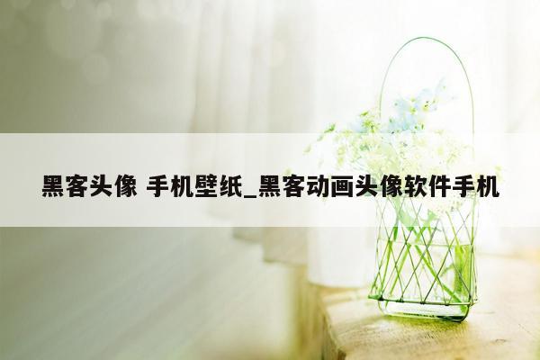 黑客头像 手机壁纸_黑客动画头像软件手机