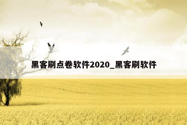 黑客刷点卷软件2020_黑客刷软件