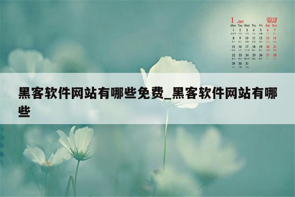 黑客软件网站有哪些免费_黑客软件网站有哪些