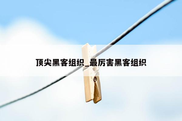 顶尖黑客组织_最厉害黑客组织