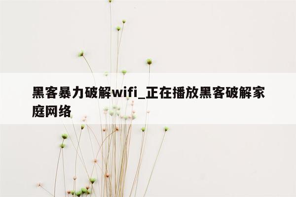 黑客暴力破解wifi_正在播放黑客破解家庭网络