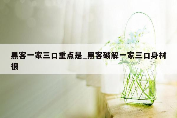 黑客一家三口重点是_黑客破解一家三口身材很