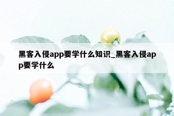 黑客入侵app要学什么知识_黑客入侵app要学什么