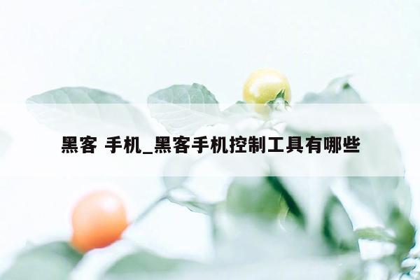 黑客 手机_黑客手机控制工具有哪些