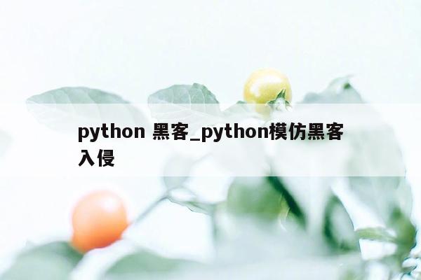 python 黑客_python模仿黑客入侵