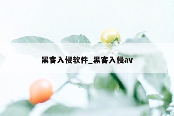 黑客入侵软件_黑客入侵av