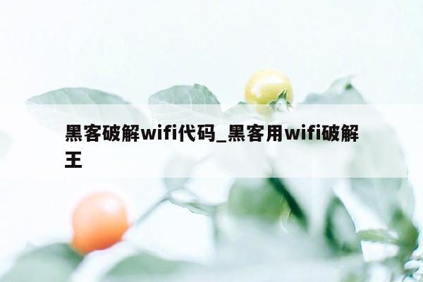 黑客破解wifi代码_黑客用wifi破解王