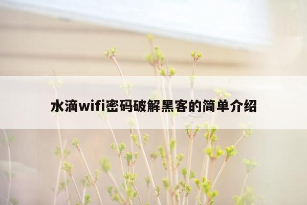 水滴wifi密码破解黑客的简单介绍