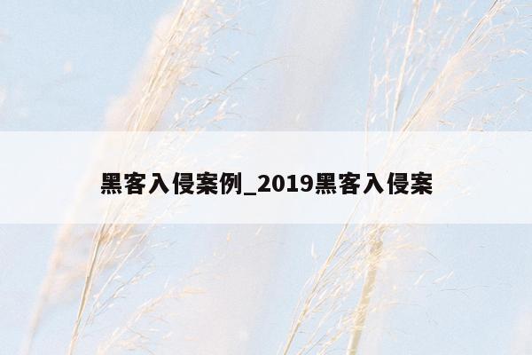 黑客入侵案例_2019黑客入侵案