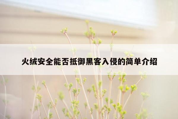 火绒安全能否抵御黑客入侵的简单介绍