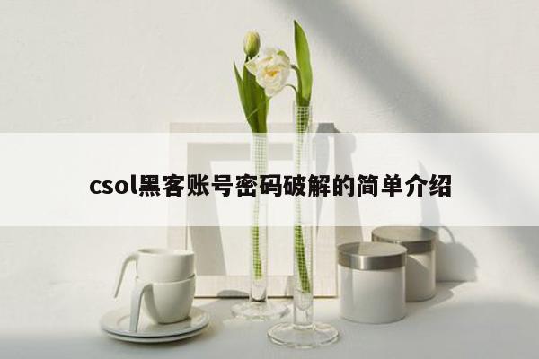 csol黑客账号密码破解的简单介绍