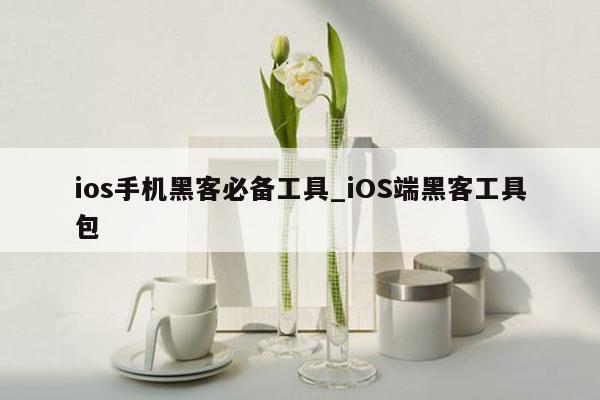 ios手机黑客必备工具_iOS端黑客工具包