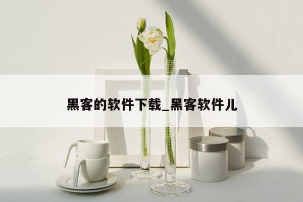 黑客的软件下载_黑客软件儿